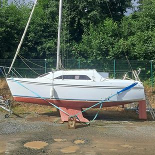 Hunter Ranger 245