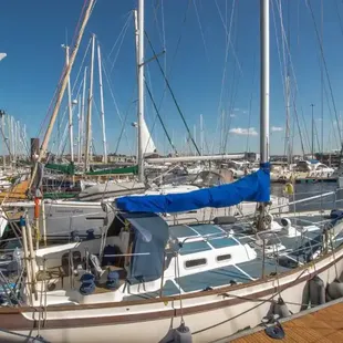 1990 Tradewind 35