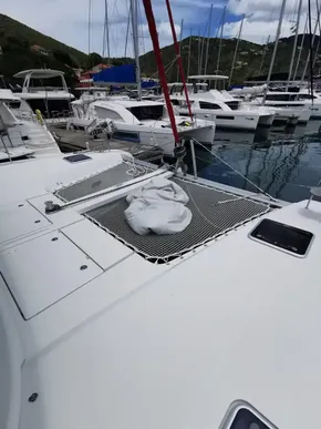 2020 Lagoon 42 catamaran docked at marina with netting and scenic background.