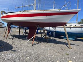 Robber 3E Bubble top - Exterior