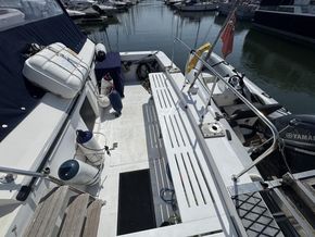 IMG 4523