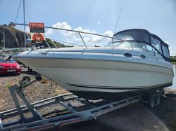 Sea Ray 260 Sundancer Cuddy Cabin 310hp