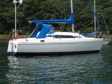 Hunter Ranger 265