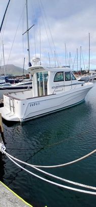 Motor Cruiser STARFISHER 840 WA