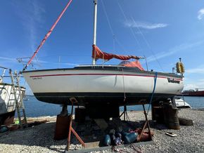 1981 dufour 2800 sail 9449842 20240717083039227 1 XLARGE
