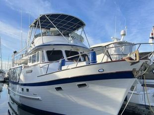 Boats for sale Australia, boats for sale, used boat sales, Commercial  Vessels For Sale 15.3m Heavy Duty Work / Fishing Boat - Apollo Duck
