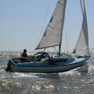Seal 22 sailing yacht