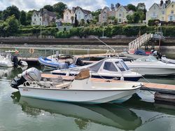 Classic 17' Boston Whaler