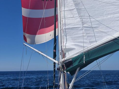 WESTERLY BERWICK 31