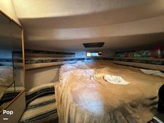 1992 Sea Ray 350 Express Bridge
