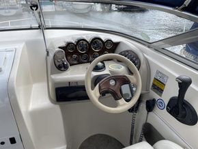 IMG 3463