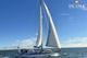 1991 Wauquiez Centurion 49