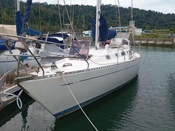 tatoosh 42