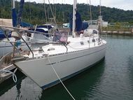 tatoosh 42