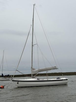 Hawk 20