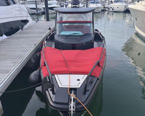 Zorro-for-sale-1