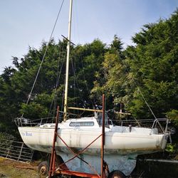 Albin Vega 27