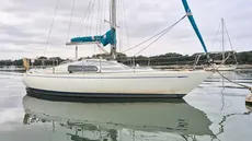 Hustler  25.5