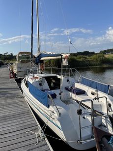 Catalina 250 Sail Boat