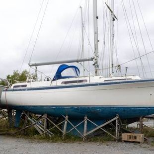 1980 Moody 36