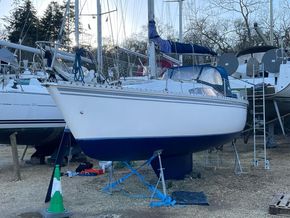 Antifouled on the hard