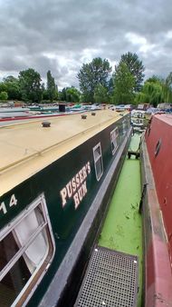50ft Narrowboat, Cruiser stern