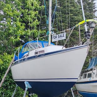 Tomahawk sailing yacht