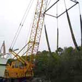 The Crane