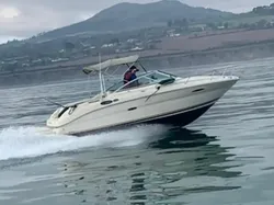 2003 Sea Ray 225 Weekender