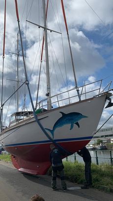 Trewes 36 MS