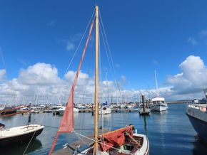 IMG 4986