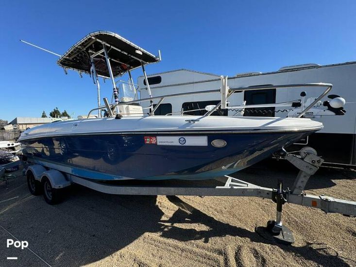 2018 Bayliner f 21 element