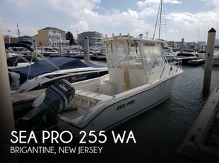 2001 Sea Pro 255 WA