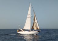 Tradewind 35