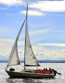 Binks 25 quality trailer sailer