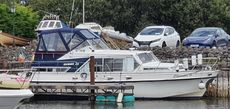 BROOM OCEAN 37