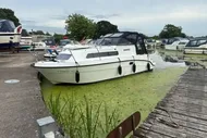 Shetland 245i