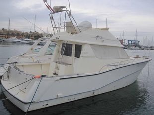 2000 Rodman 1250