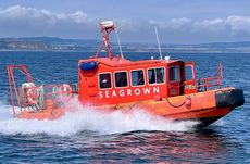 Razorbill – Utility Workboat