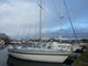 WESTERLY GK24 cruiser racer, great starter boat £4500 reduced