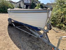 Norfolk Oyster 17