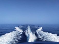 Hardy Seawings 305 for sale
