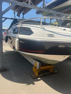 2019 Bayliner VR6 Cuddy