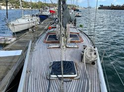 Rorqual 44