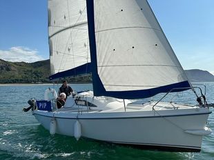 Armor 700 (2003) Sloop