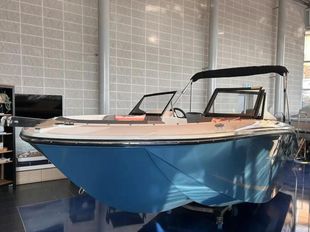 2023 Bayliner M19