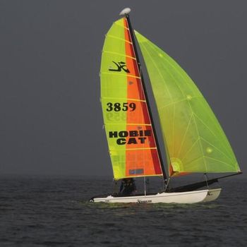 Hobie 15