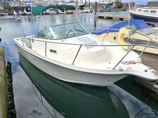 2007 Bayliner 2052 Trophy