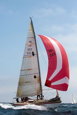DB1, (no runners, swept back spreaders, good IRC racer