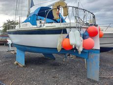 Westerly Konsort (reduced)